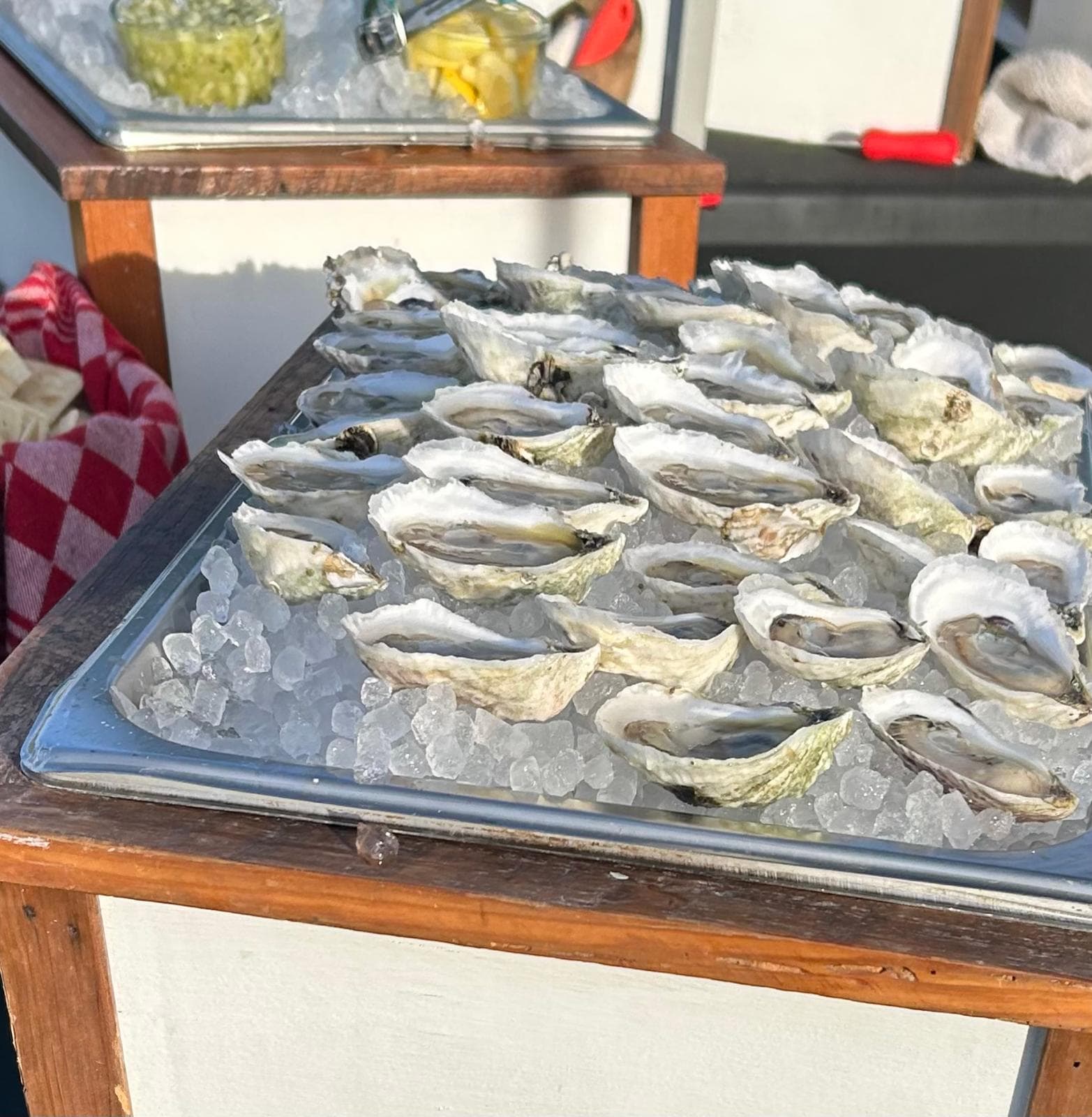 A full oyster tray styled for a party.